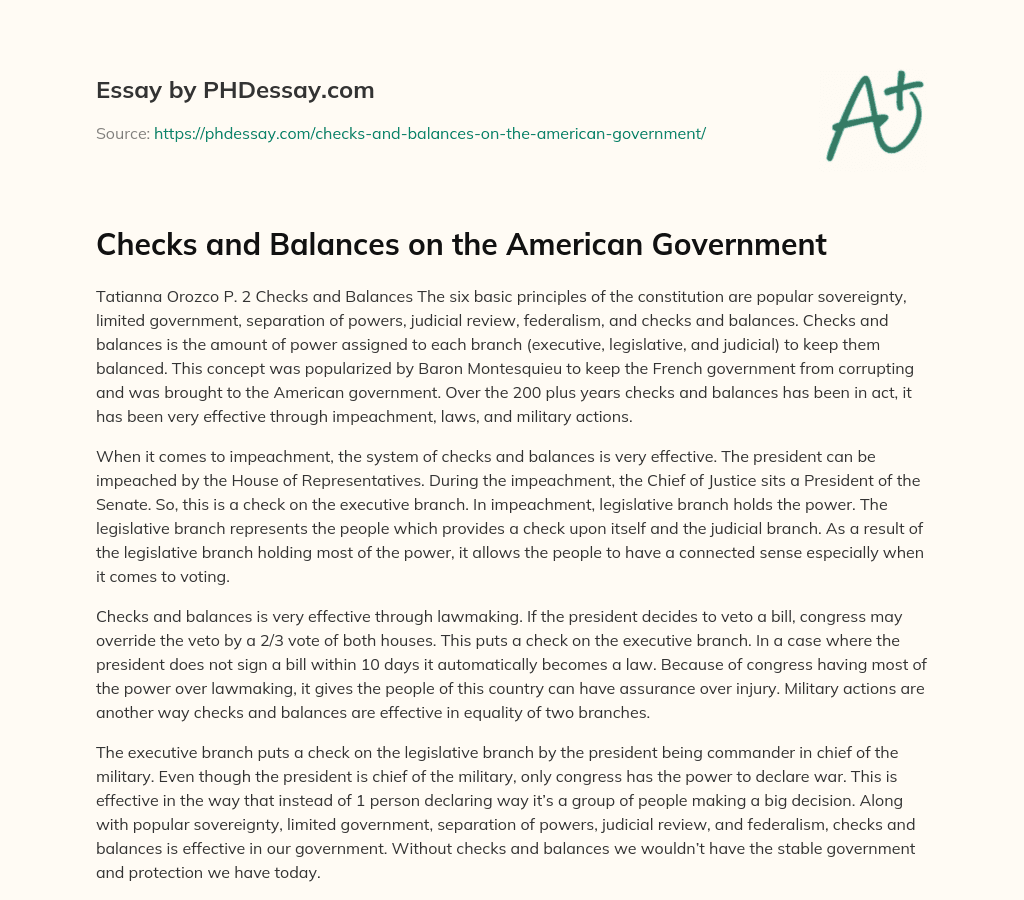 Checks and Balances on the American Government essay