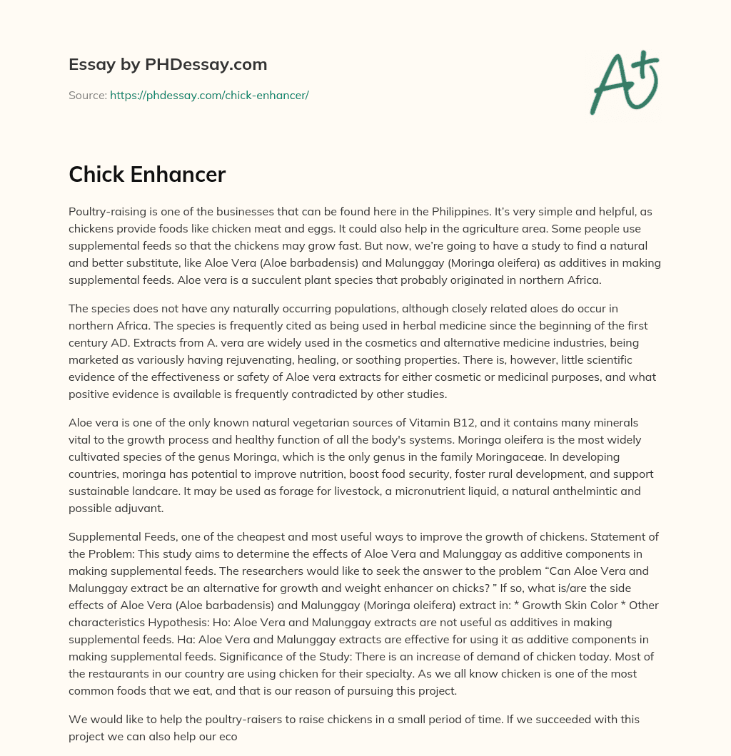 Chick Enhancer essay