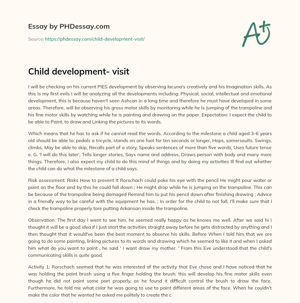 Child development- visit essay
