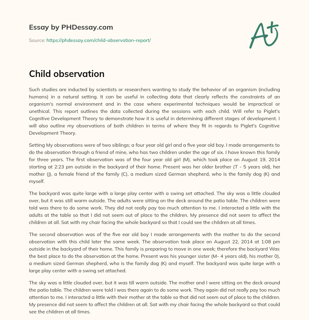 Child observation essay