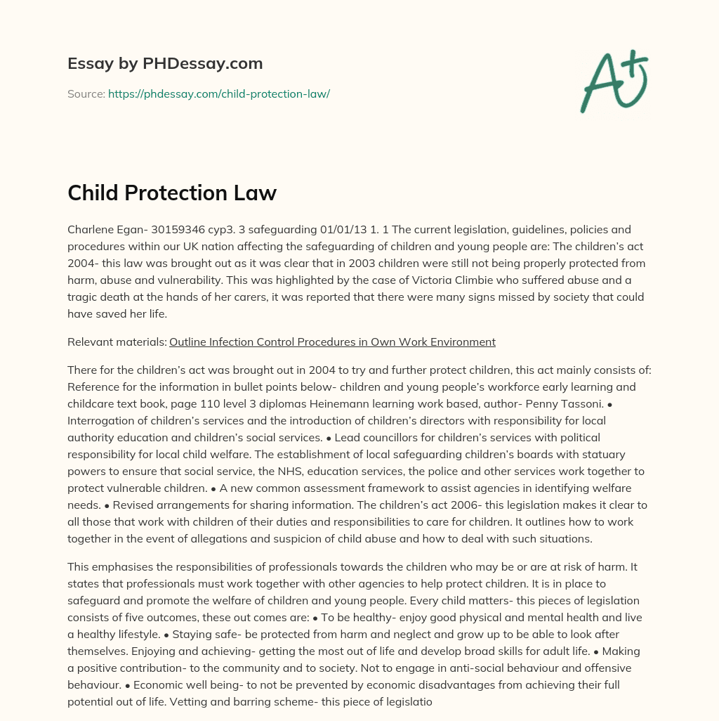 Child Protection Law essay