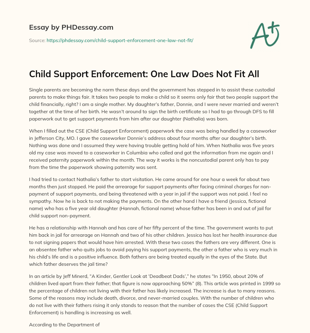 Child Support Enforcement: One Law Does Not Fit All essay