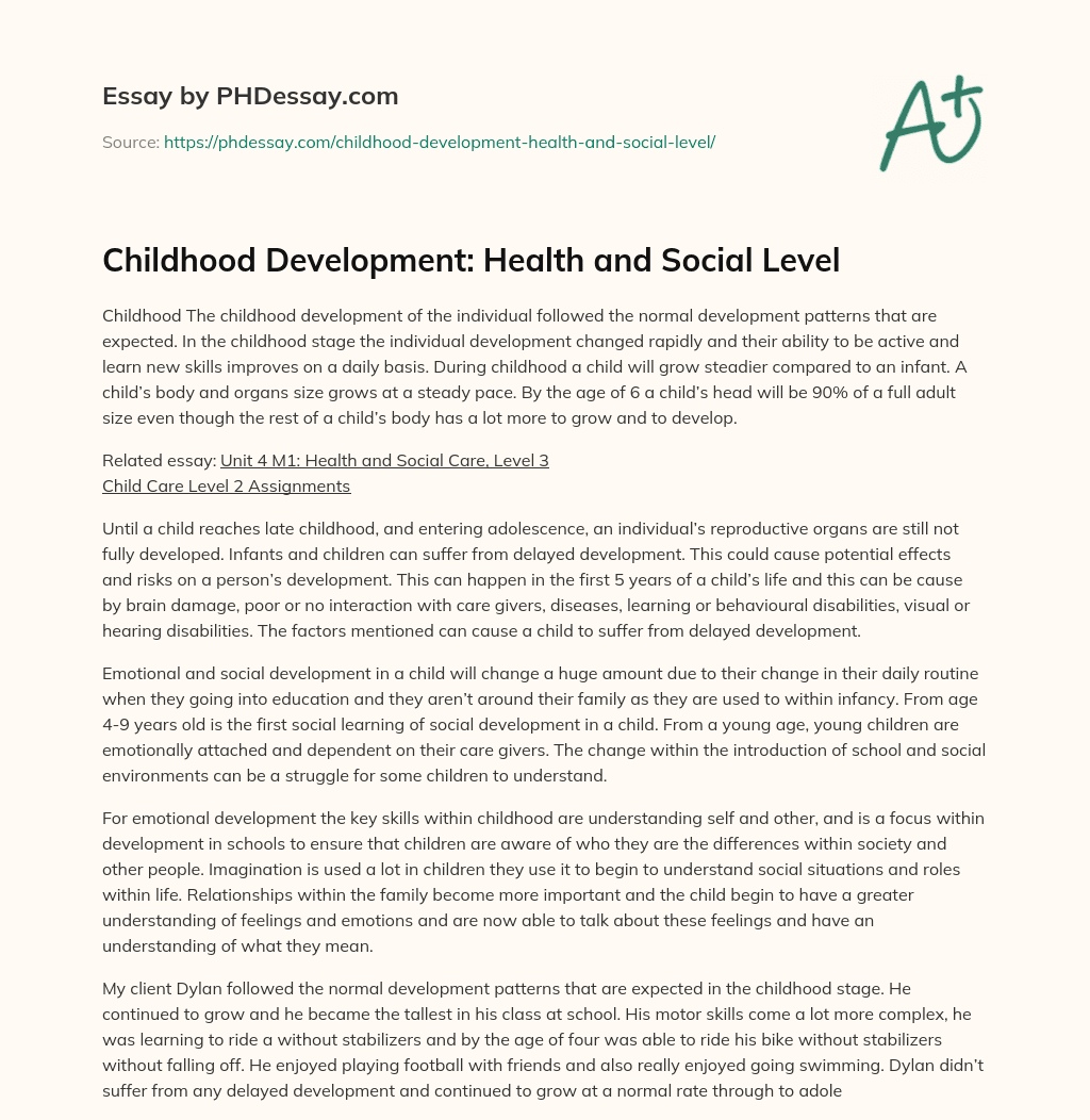 Childhood Development: Health and Social Level essay