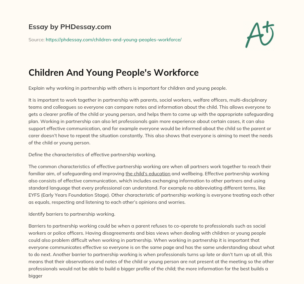 Children And Young People’s Workforce essay
