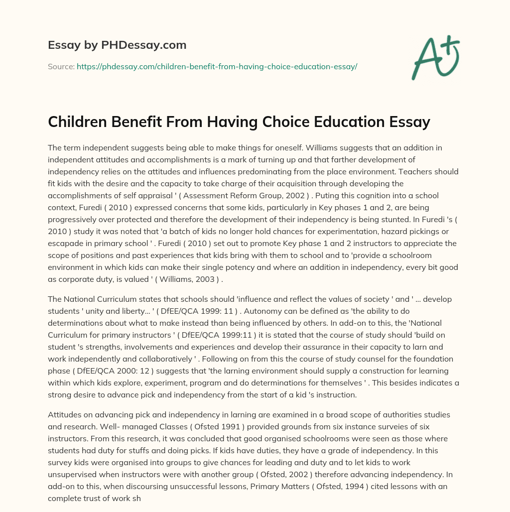 Children Benefit From Having Choice Education Essay essay