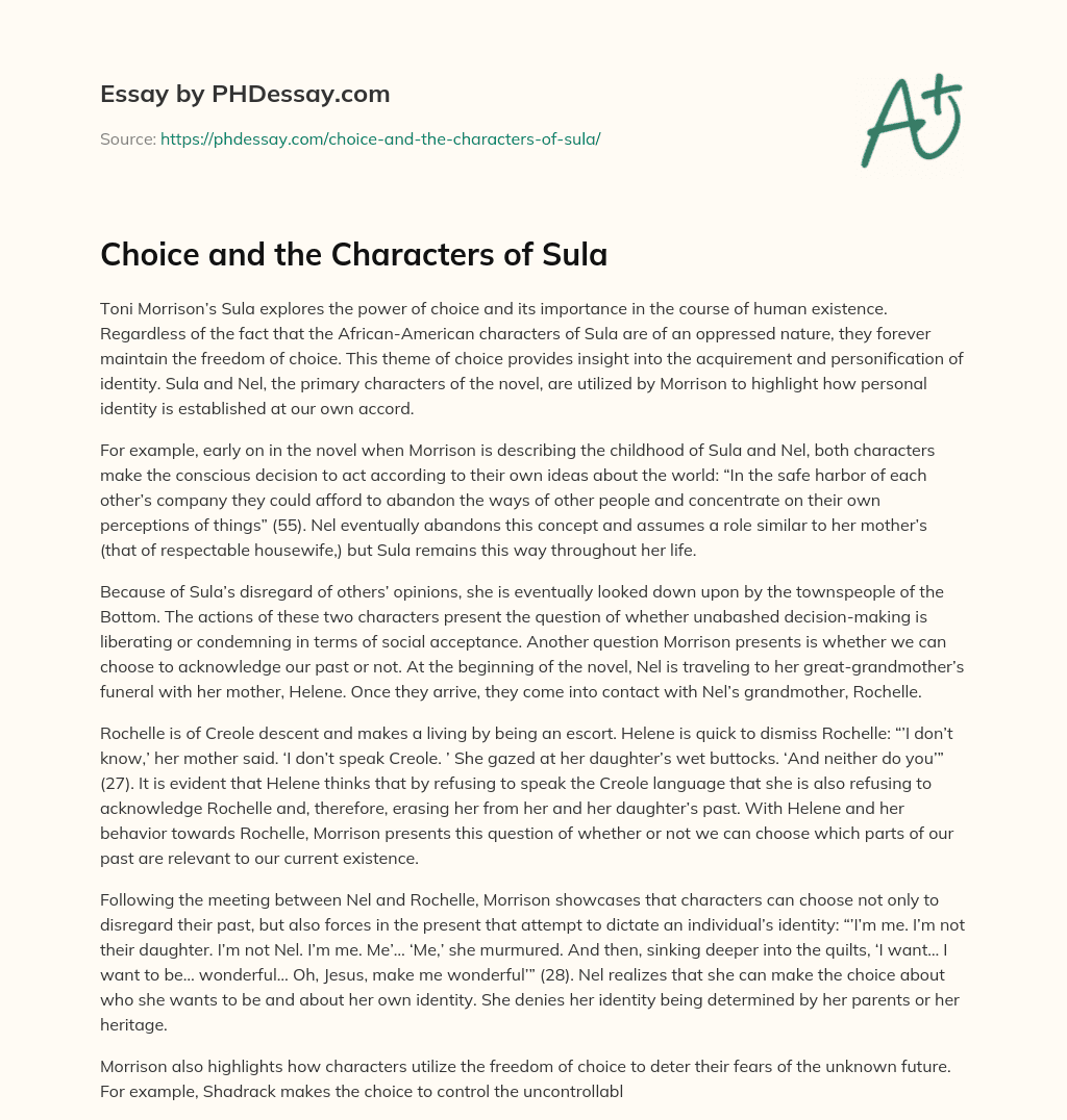 Choice and the Characters of Sula essay