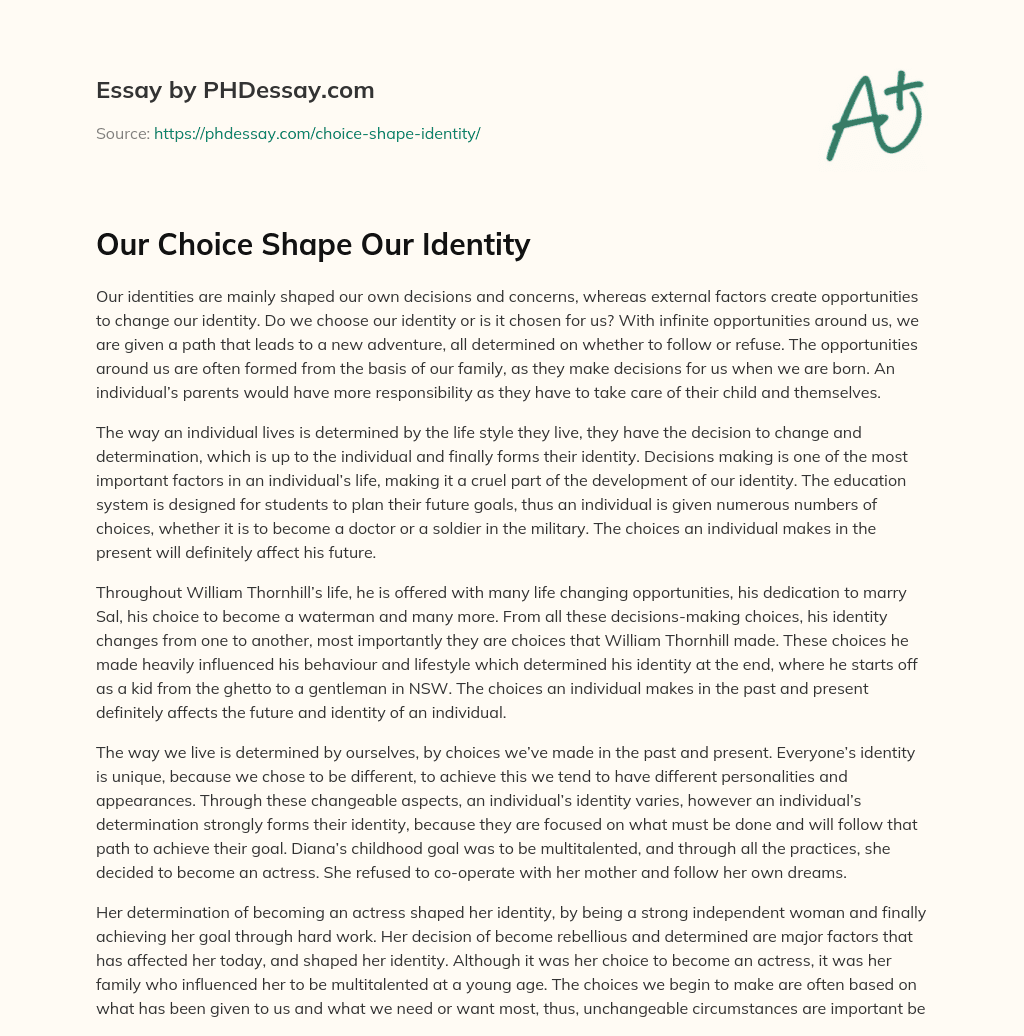Our Choice Shape Our Identity essay
