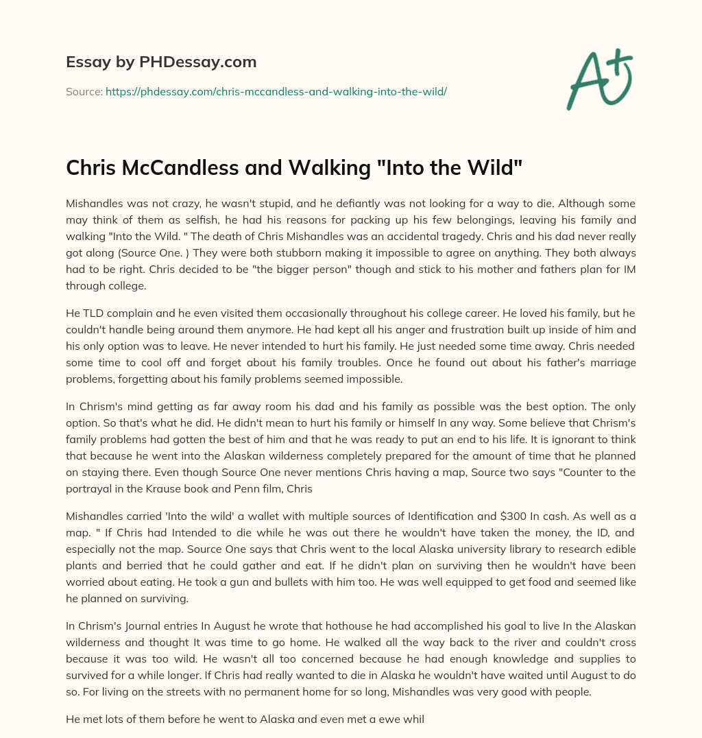 Chris McCandless and Walking “Into the Wild” essay