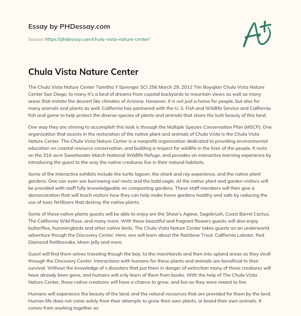 Chula Vista Nature Center essay