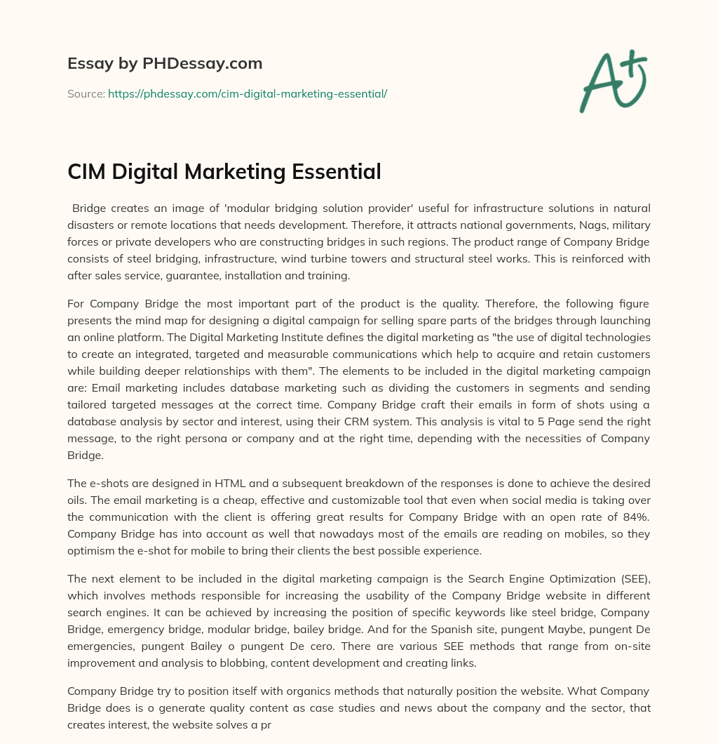 CIM Digital Marketing Essential essay