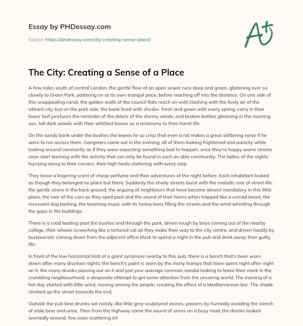 The City: Creating a Sense of a Place essay