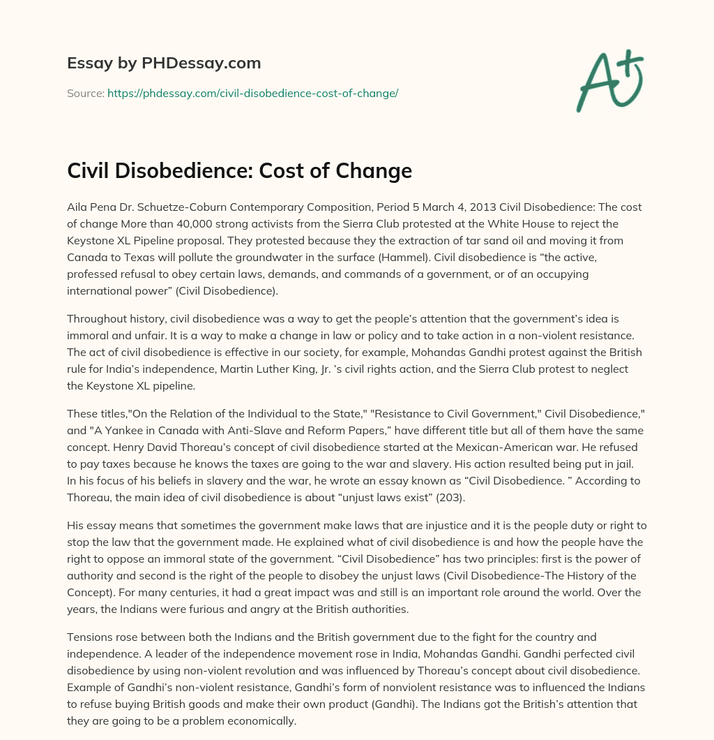 Civil Disobedience: Cost of Change essay