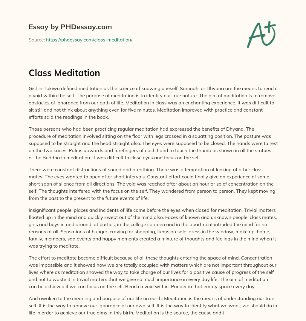 Class Meditation essay