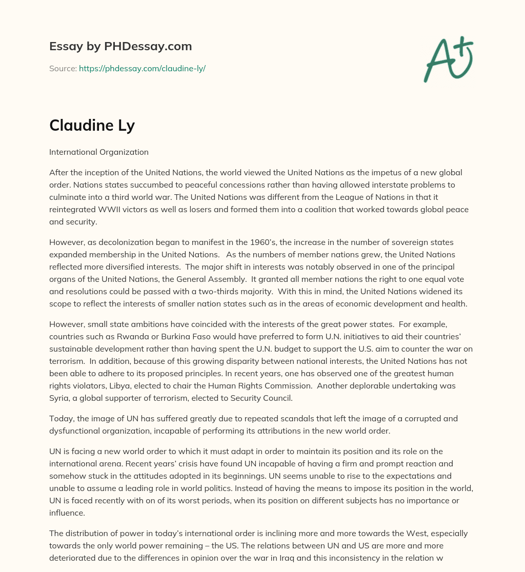 United Nations: From Global Order to Diversified Interests and Challenges essay