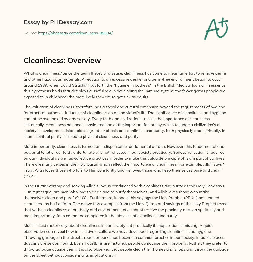 Cleanliness: Overview essay