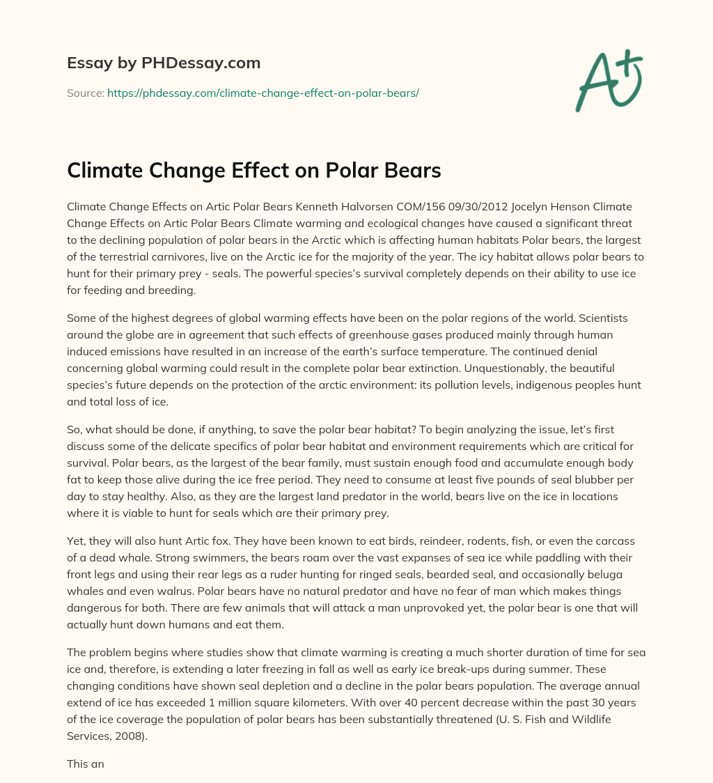 Climate Change Effect on Polar Bears essay