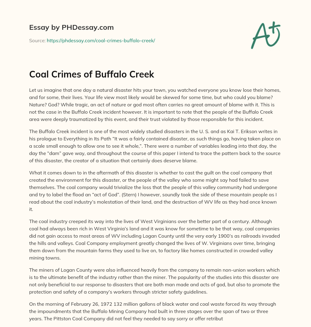 Coal Crimes of Buffalo Creek essay