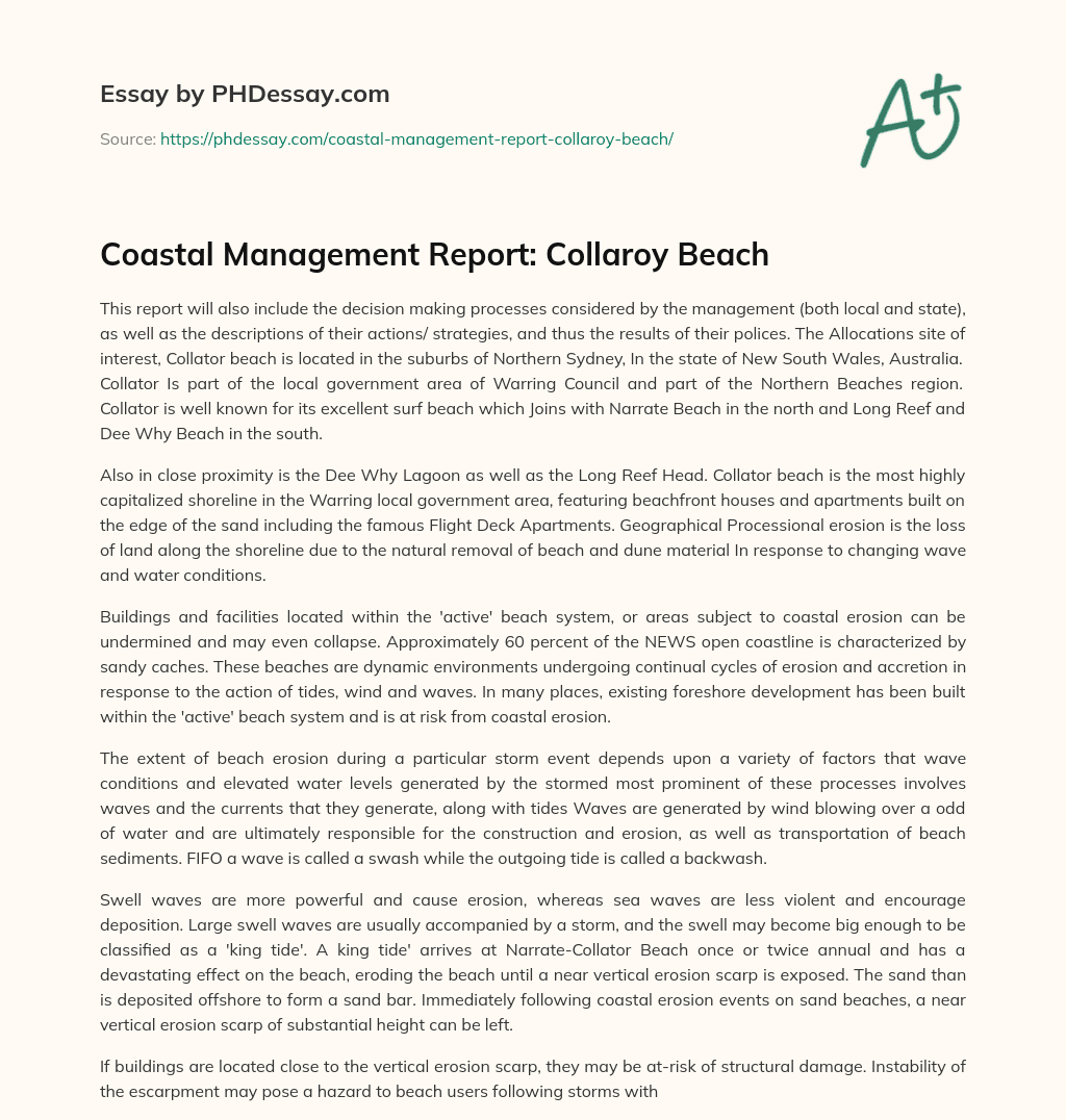 Coastal Management Report: Collaroy Beach essay