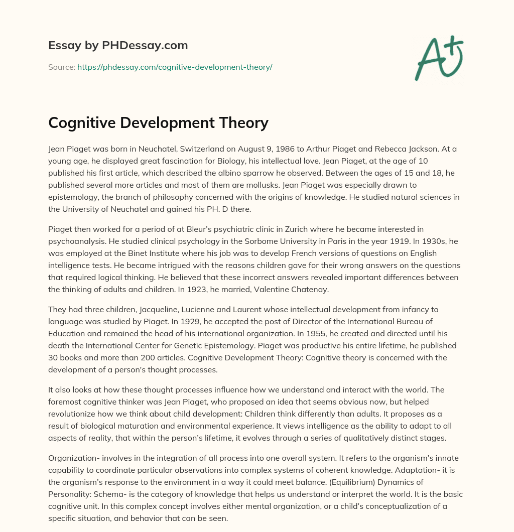 essay about cognitive development theory