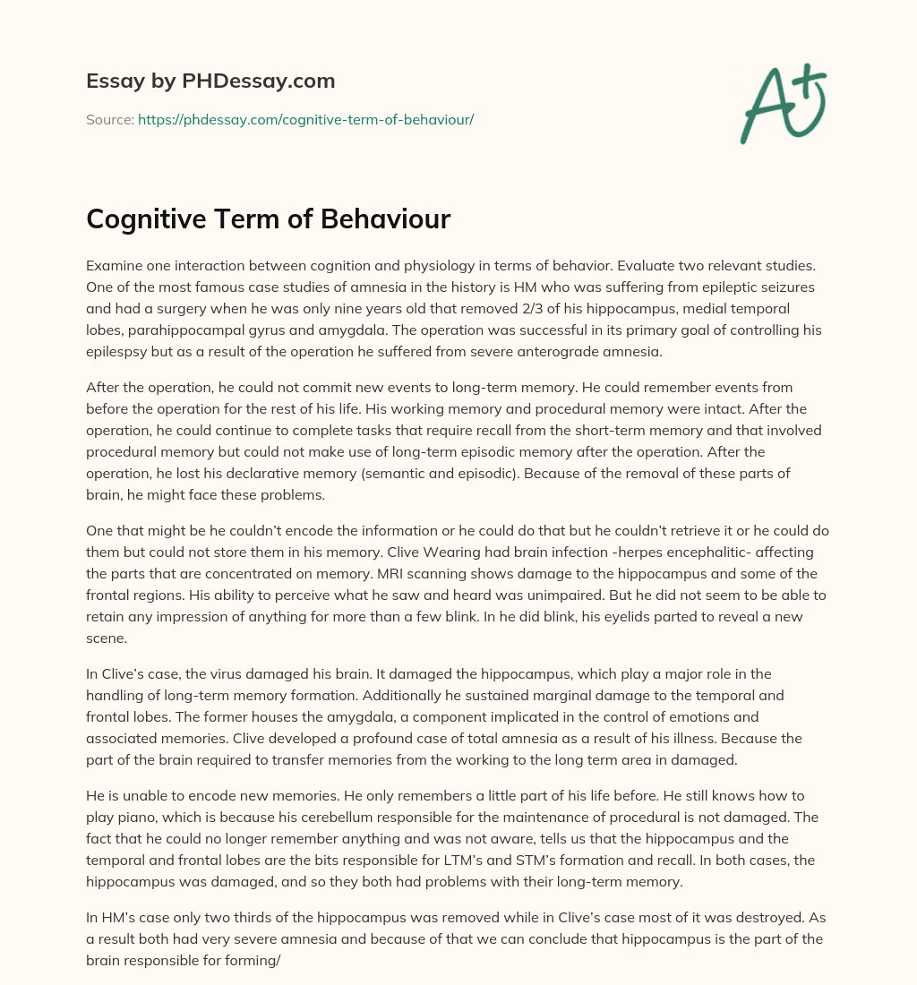 Cognitive Term of Behaviour essay