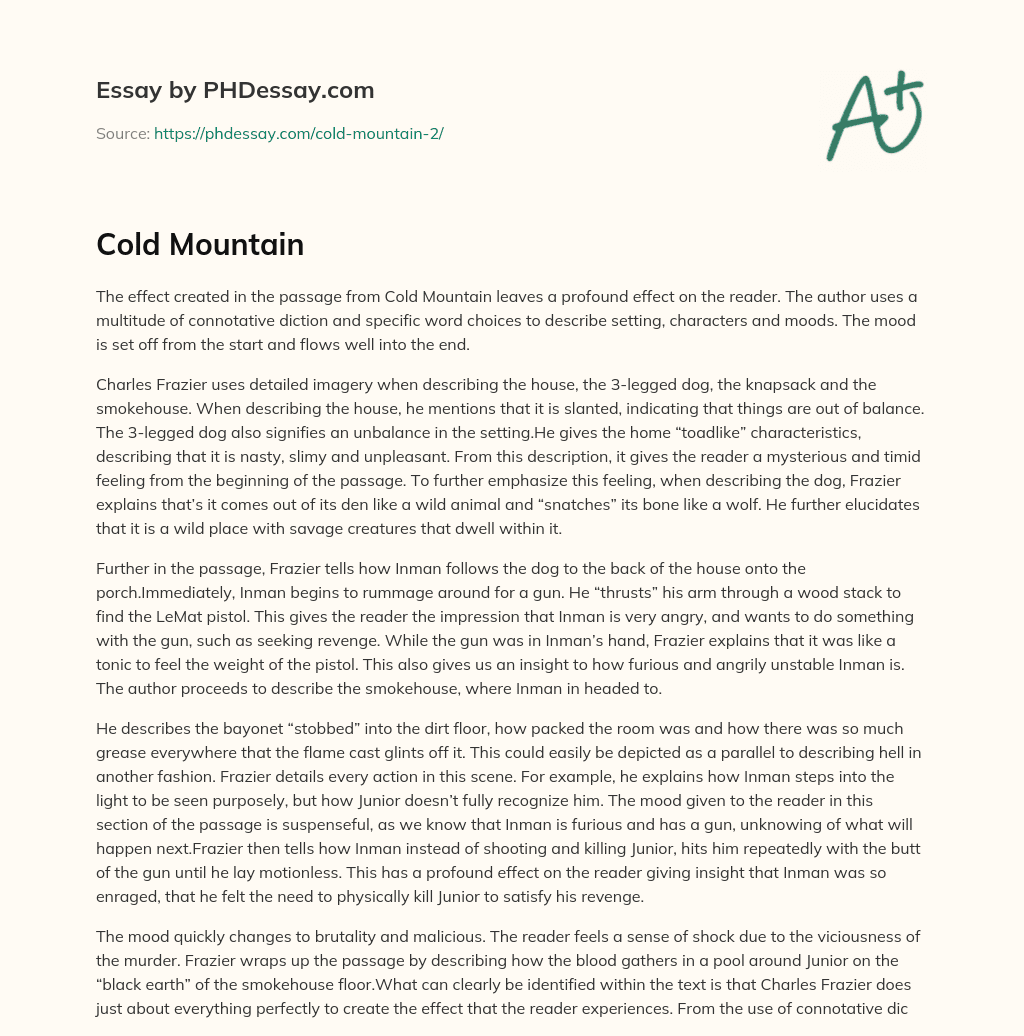 Cold Mountain essay
