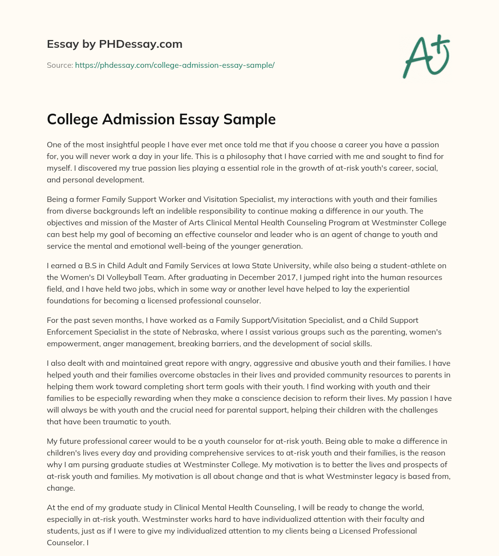 College Admission Essay Sample essay