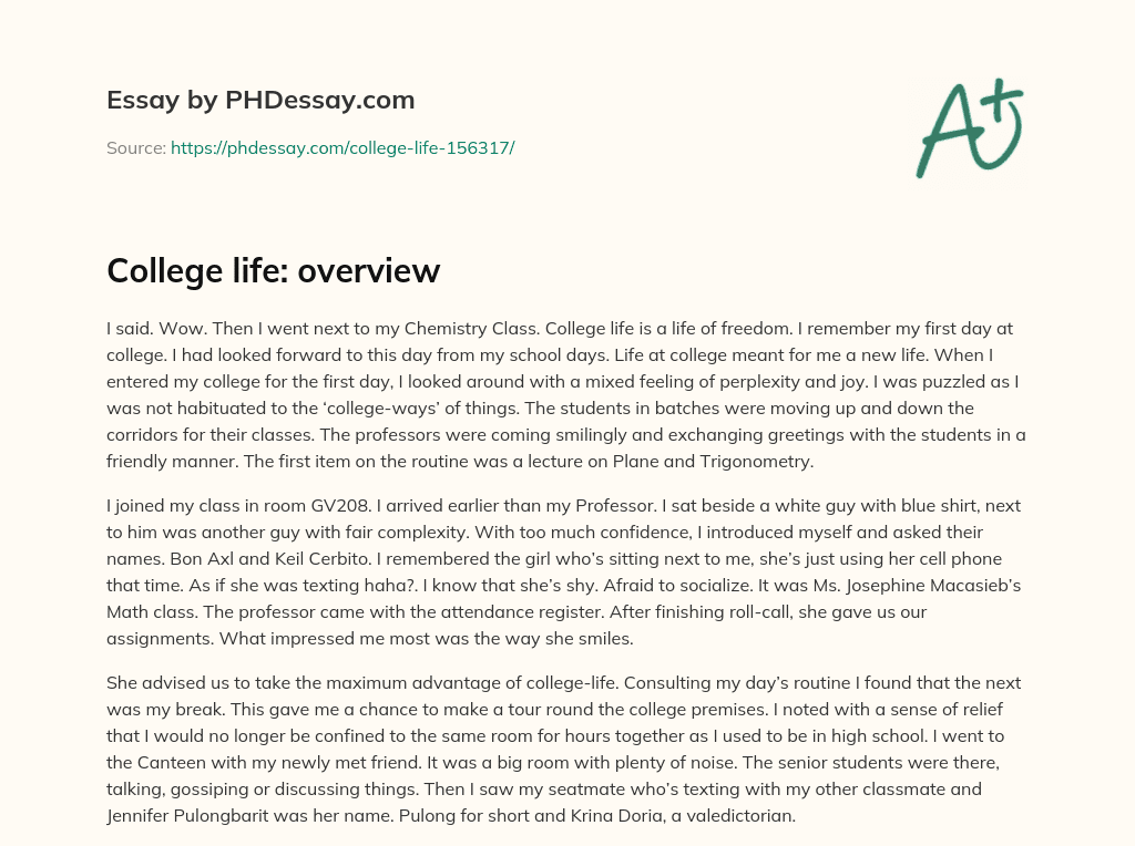College life: overview essay