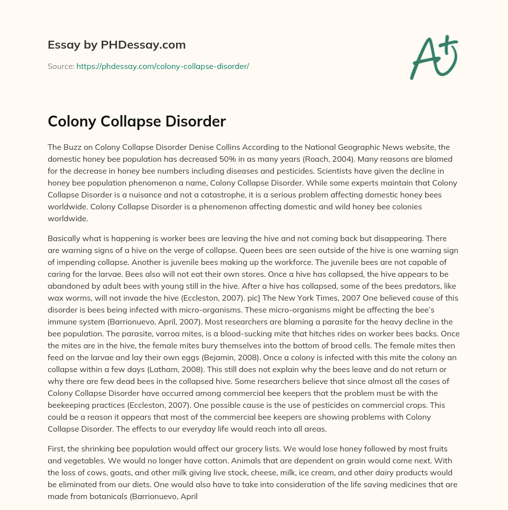 colony-collapse-disorder-andy-posner