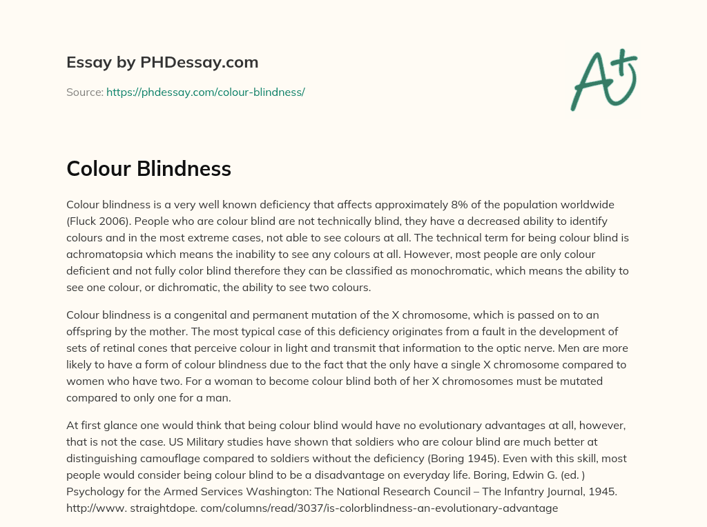 essay on color blindness