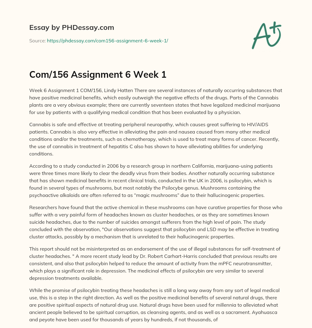 Com/156 Assignment 6 Week 1 essay