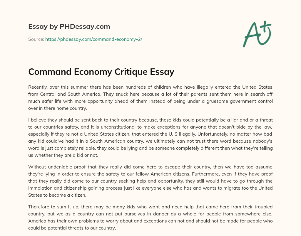 Command Economy Critique Essay essay