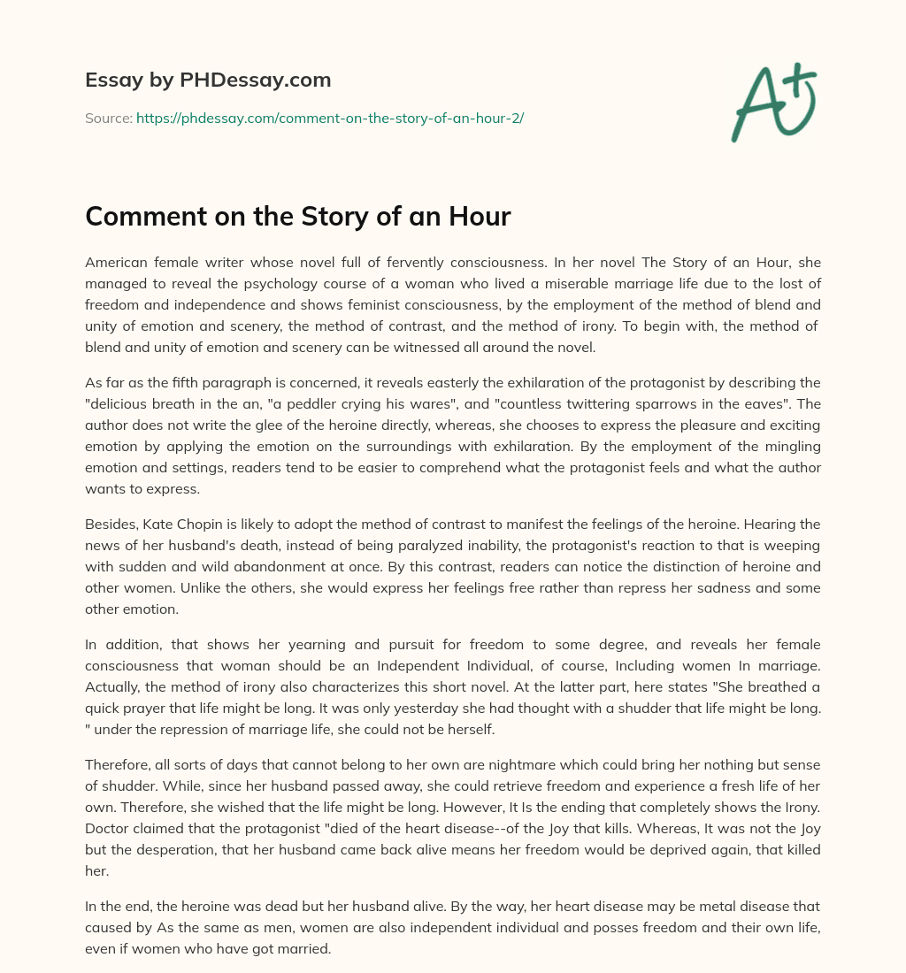 Comment on the Story of an Hour essay