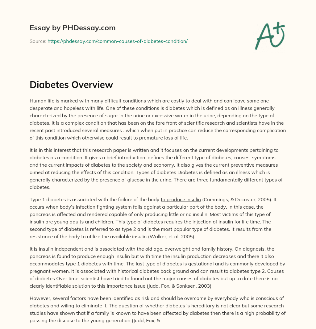 Diabetes Overview essay