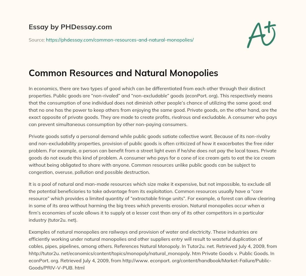 Common Resources and Natural Monopolies essay