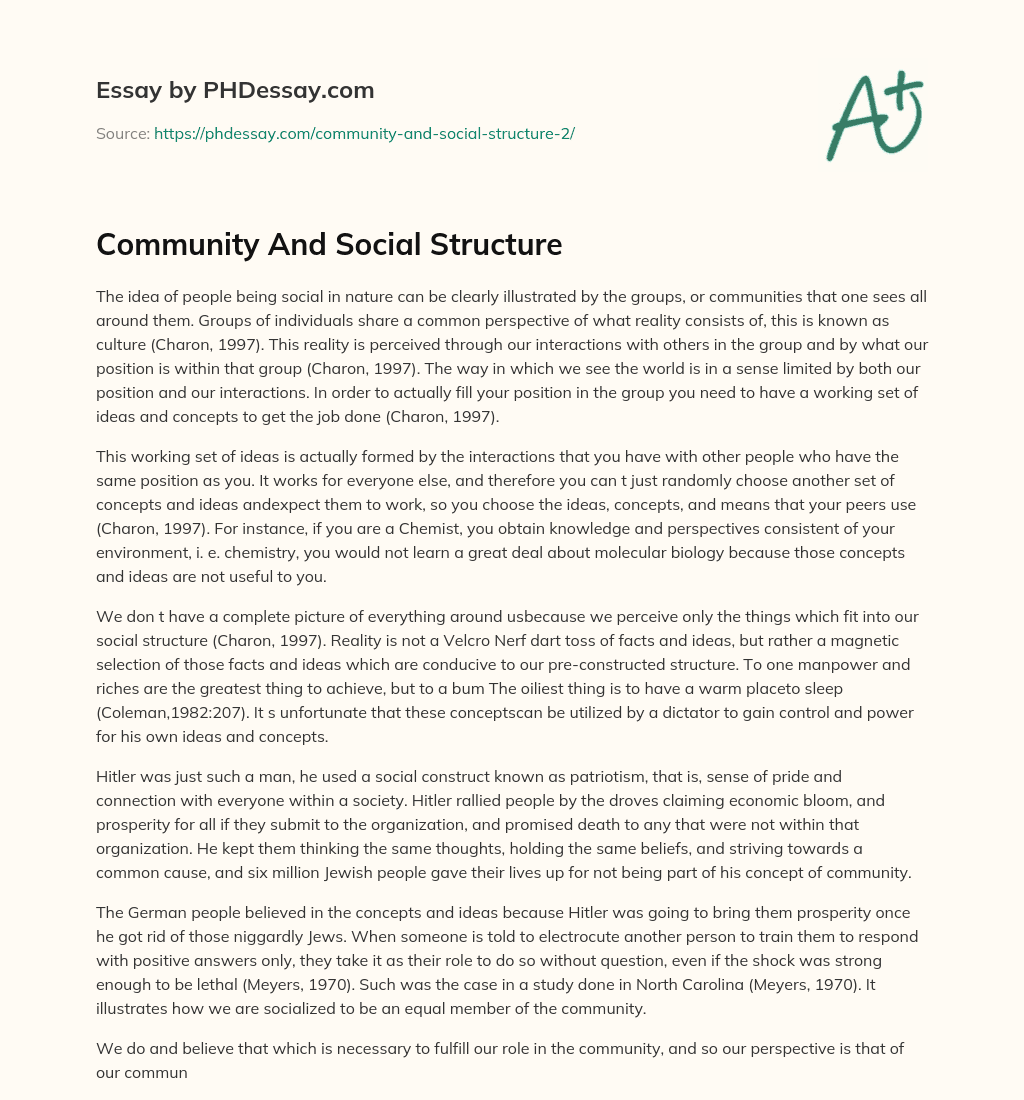 Community And Social Structure essay