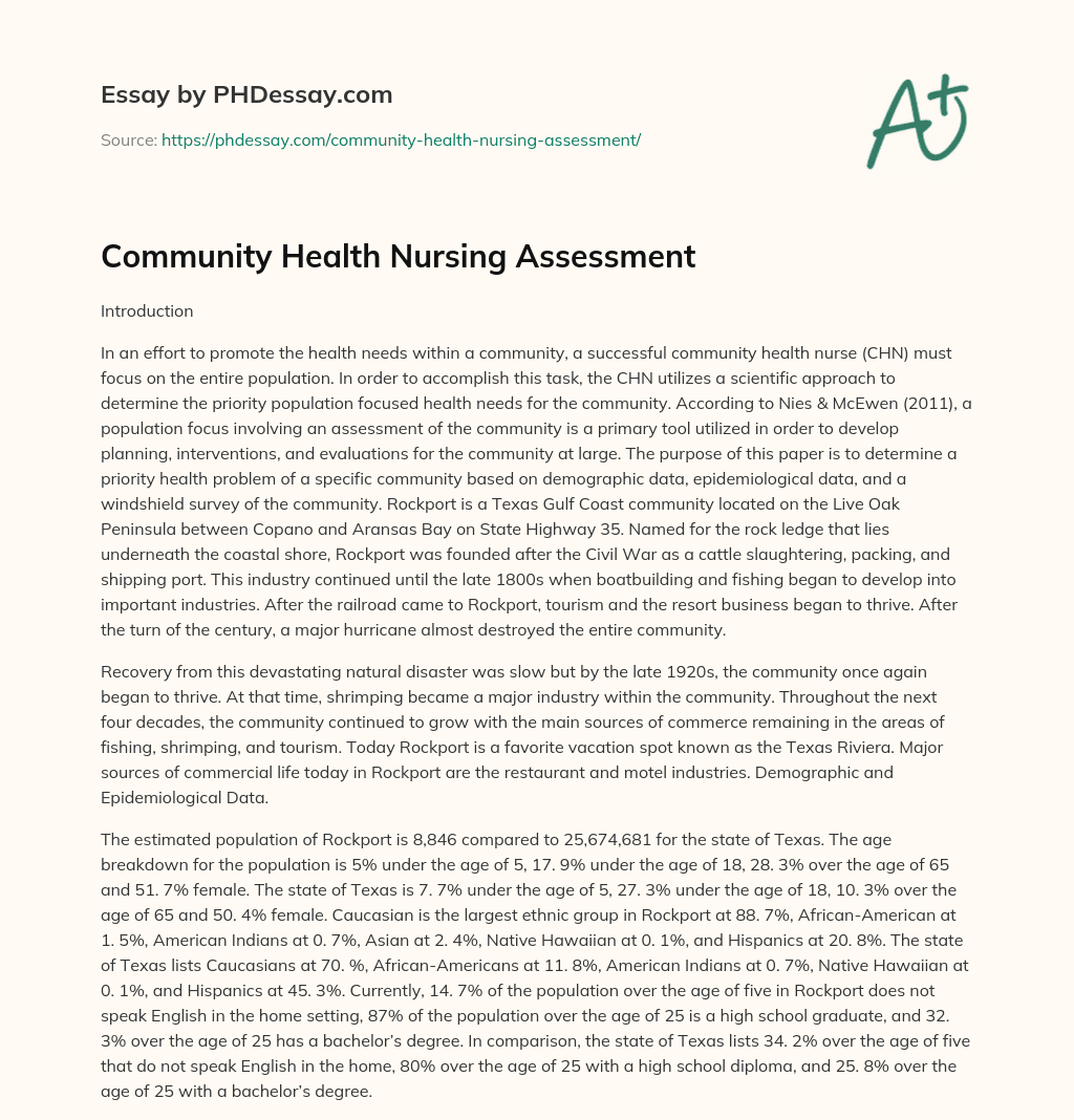 Community Health Nursing Assessment essay