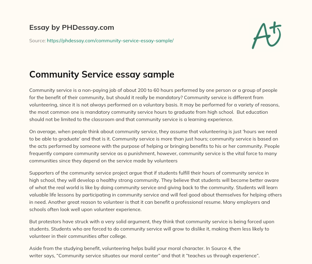 Community Service essay sample essay