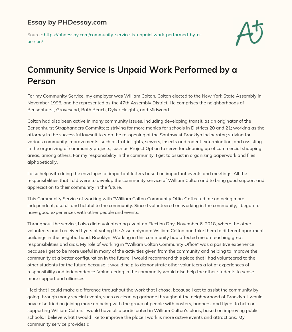 Community Service Is Unpaid Work Performed by a Person essay