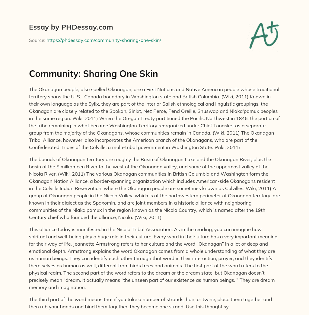Community: Sharing One Skin essay