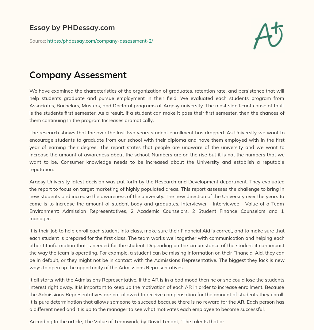 Company Assessment essay