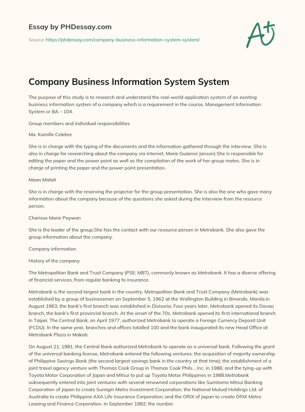 Company Business Information System System essay