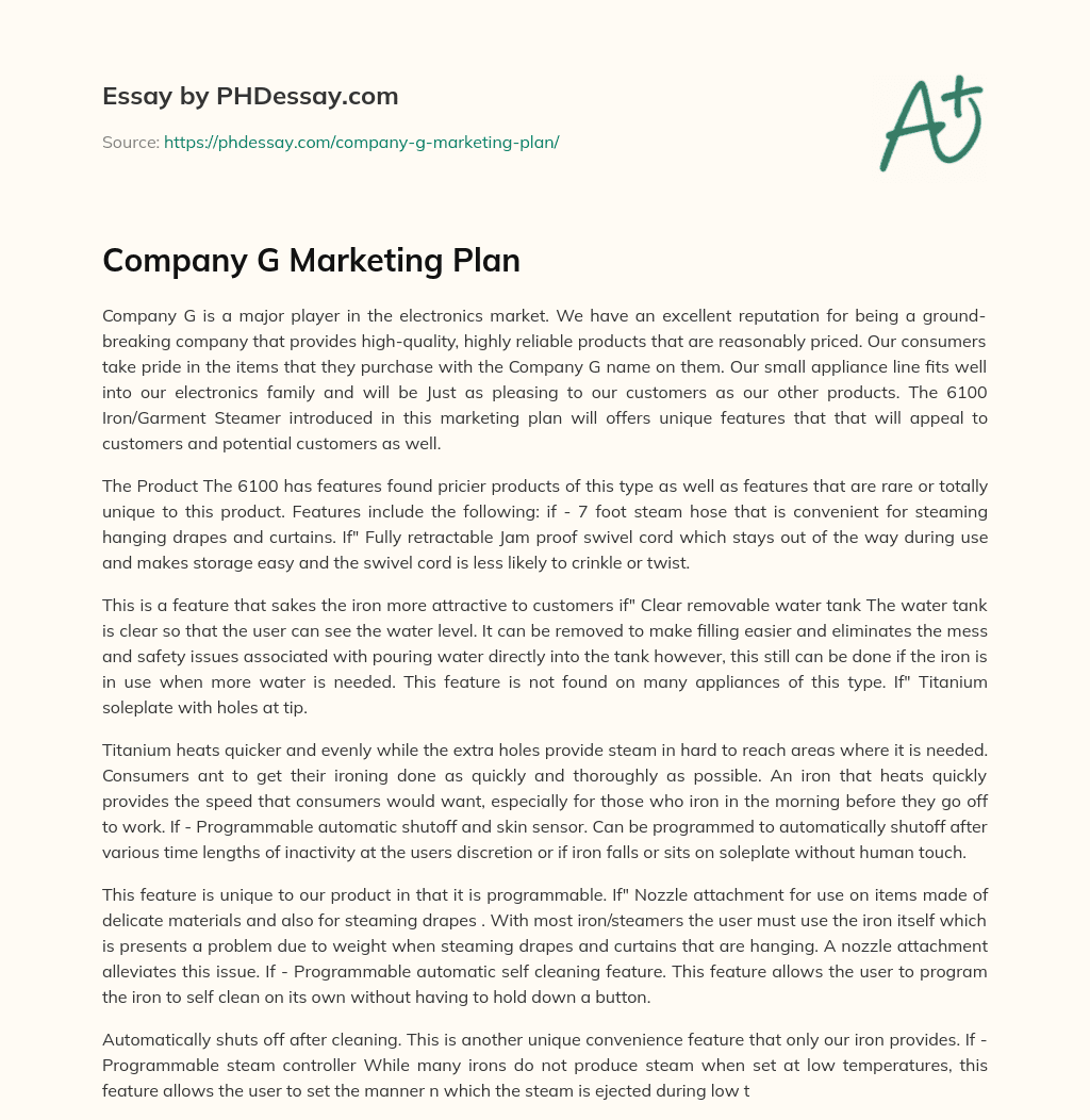 Company G Marketing Plan essay