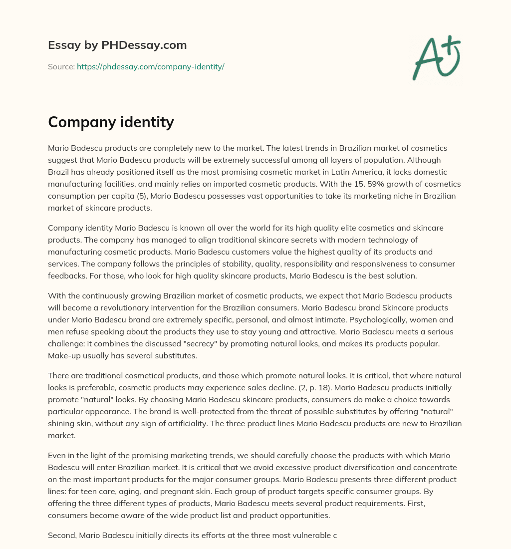 Company identity essay