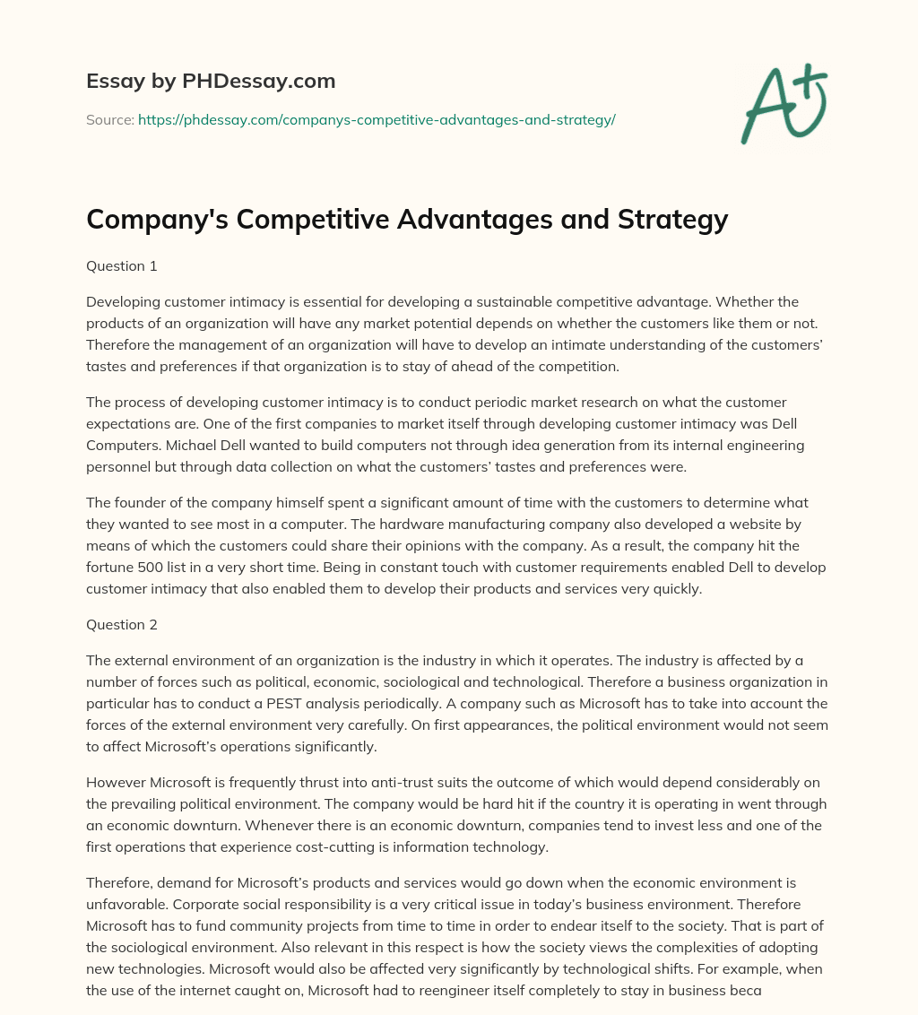Company’s Competitive Advantages and Strategy essay