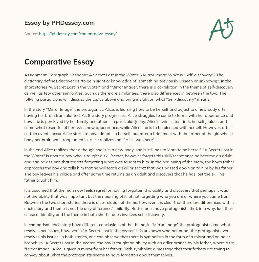 Comparison of Self-Discovery in A Secret Lost in the Water and Mirror Image essay