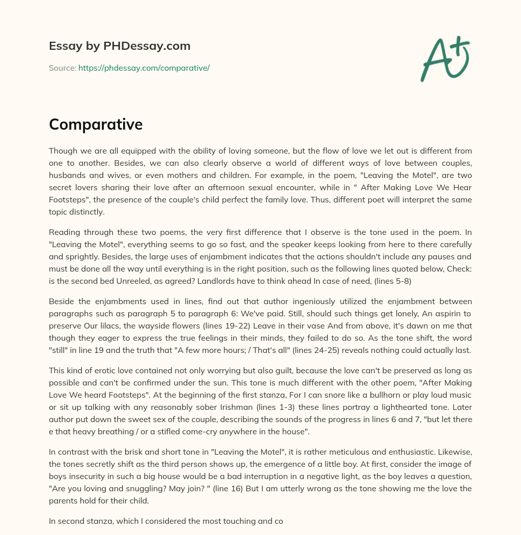 Different Interpretations of Love in Poetry essay