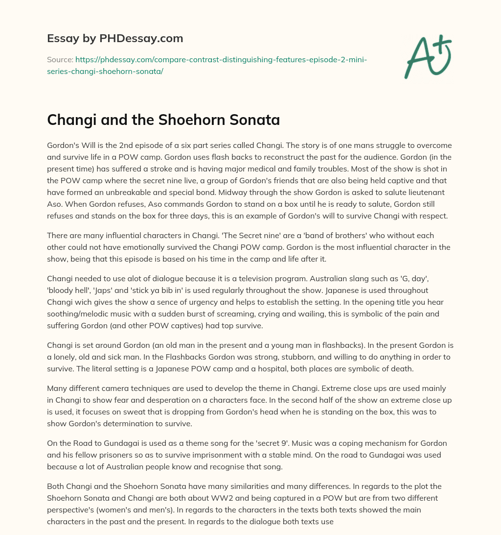 Changi and the Shoehorn Sonata essay