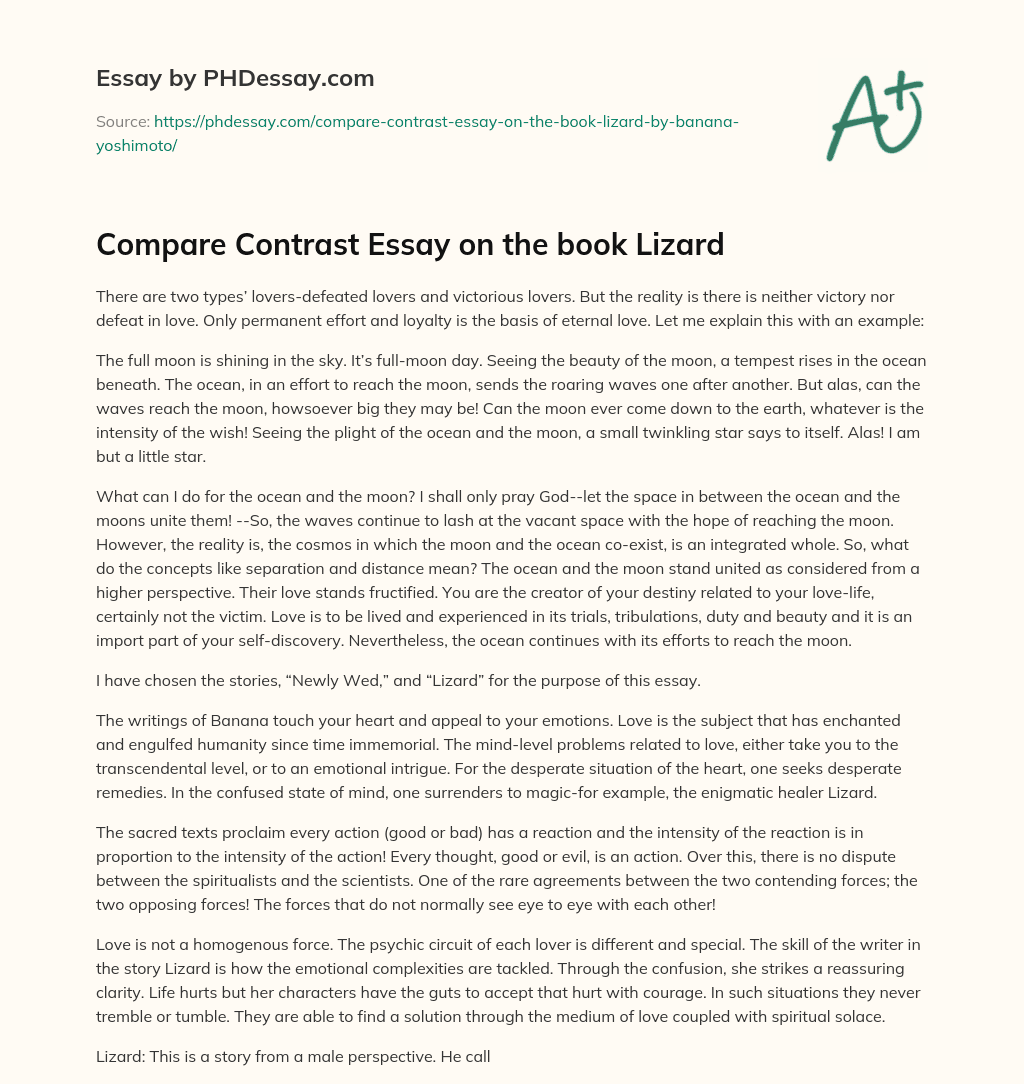 Compare Contrast Essay on the book Lizard essay