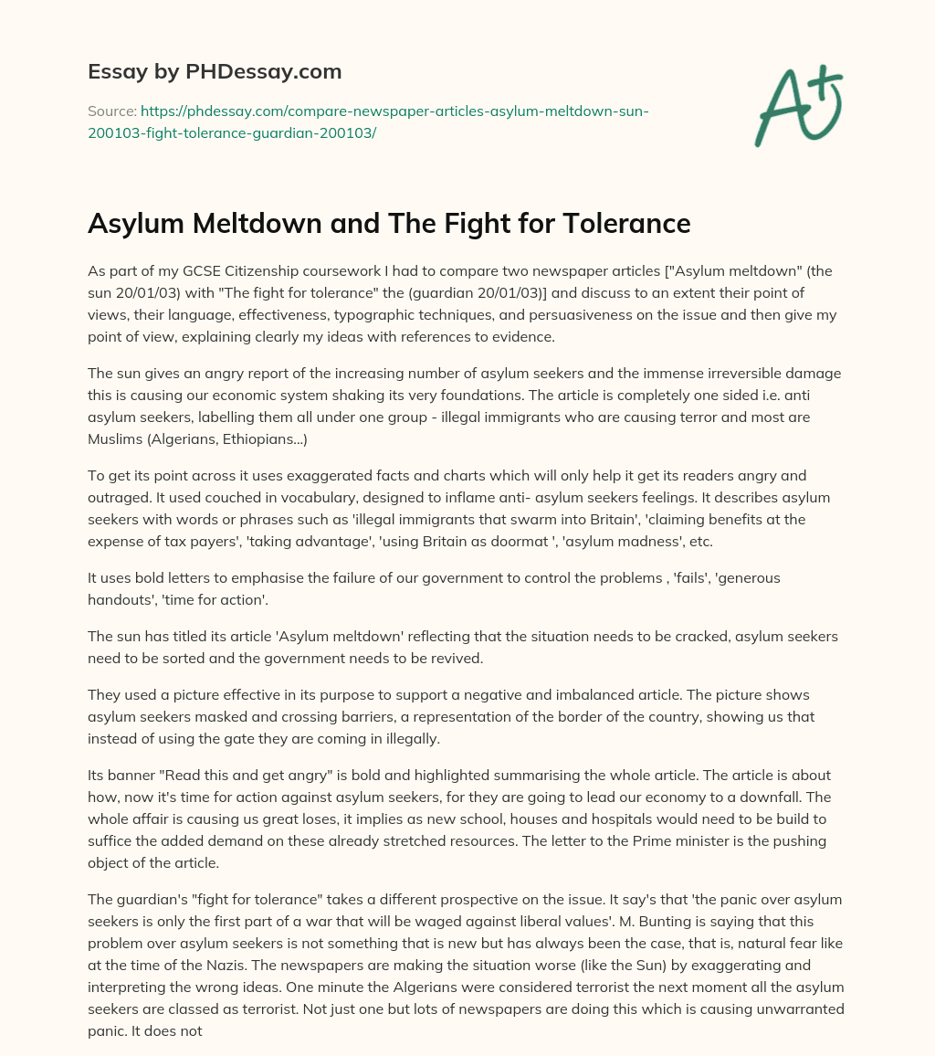 Asylum Meltdown and The Fight for Tolerance essay