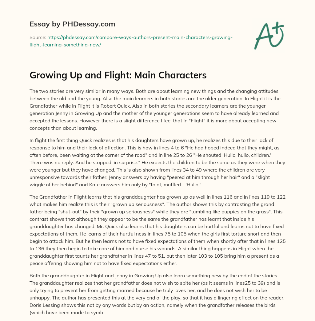 Growing Up and Flight: Main Characters essay